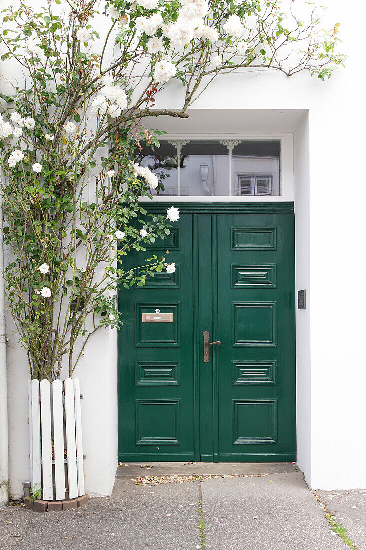  House entrance with white climbing rose and historic entrance door 