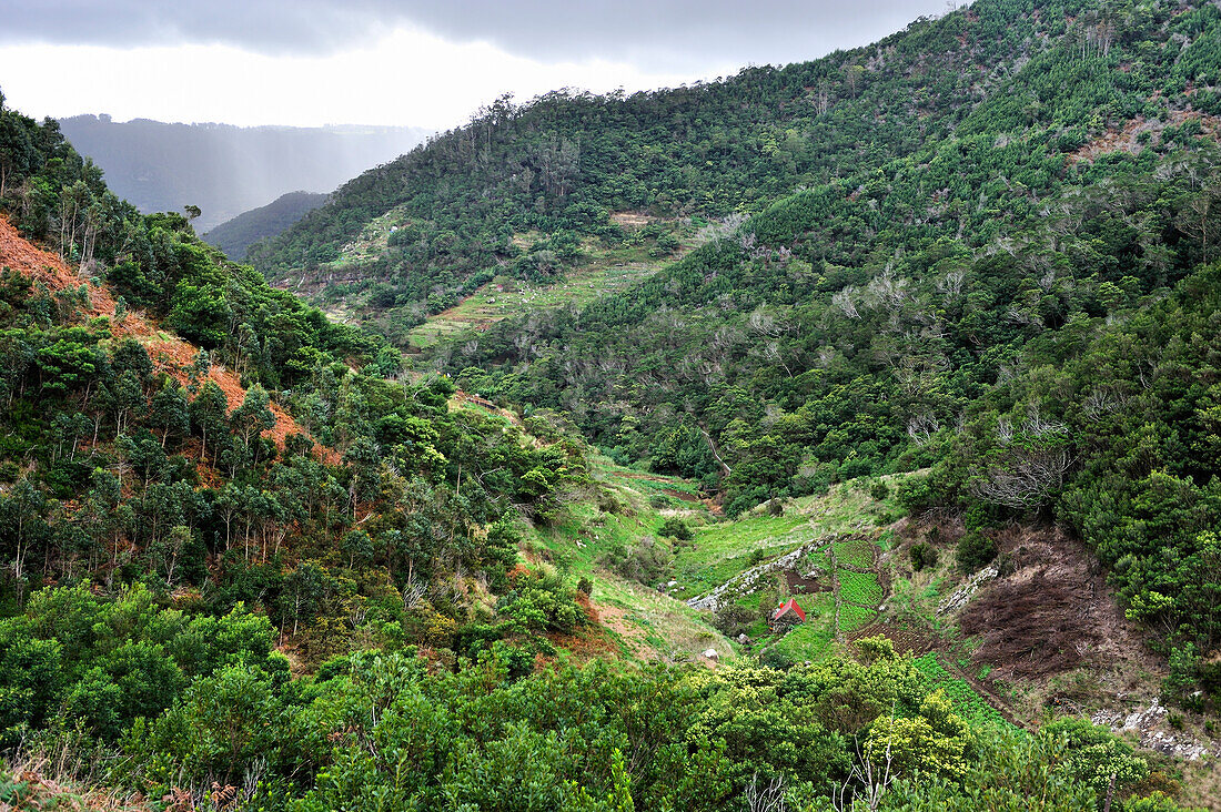 Wald und Tal, rund um Machico, Insel Madeira, Atlantischer Ozean, Portugal