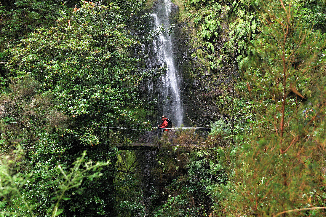  Wanderer auf einer Fußgängerbrücke entlang der Levada (Aquädukt) des Grünen Kessels (Caldeirao Verde), Insel Madeira, Atlantischer Ozean, Portugal 