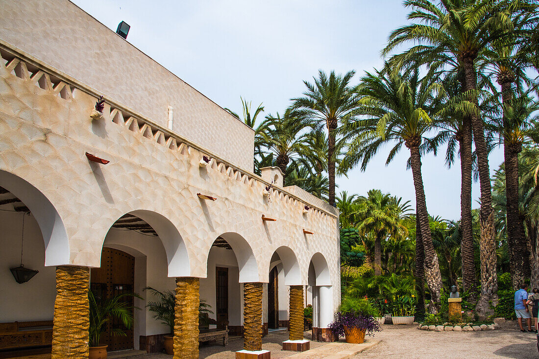  Entrance to Elche, Huerto de Cura Park, world&#39;s largest palm tree population. Province of Alicante, Spain 