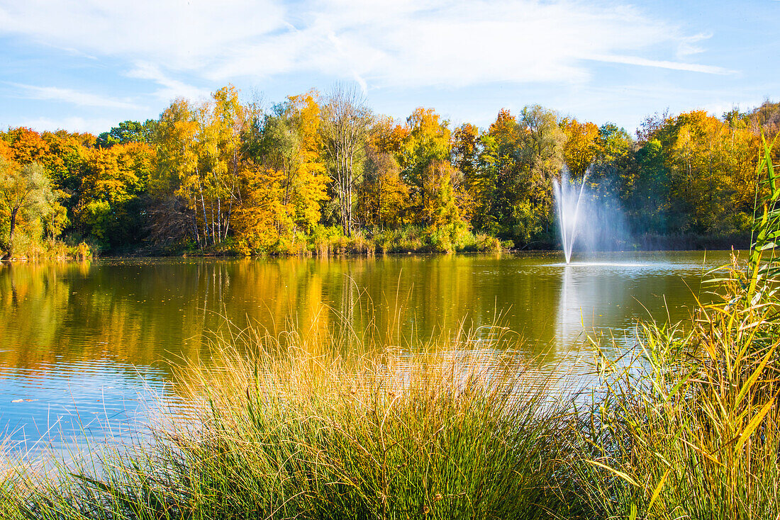 Herbst in den Lechauen, von Augsburg Gersthofen, Bayern, Deutschland