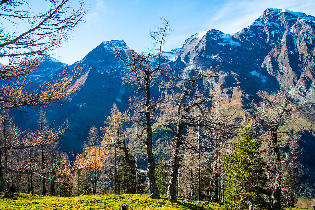 Herbst in den Hohen Tauern, an der Großglocknerstraße,  Bezirk Zell am See, Pinzgau, Ostalpen, Land Salzburg, Österreich