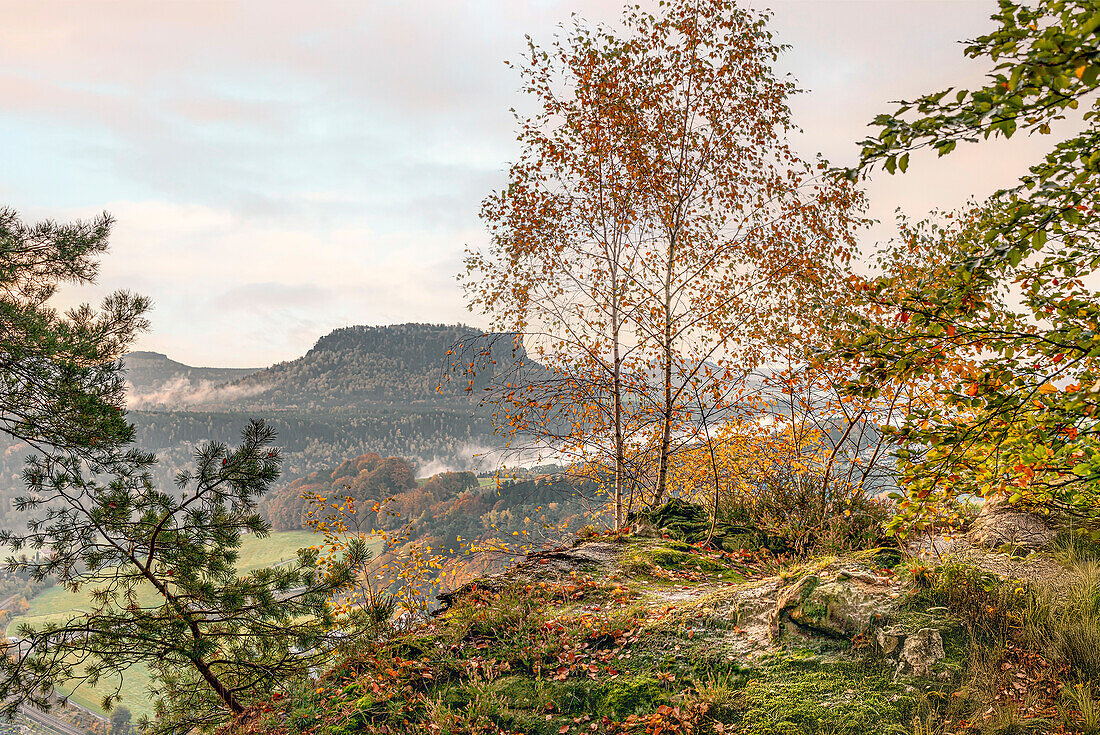  View of the Lilienstein rock in autumn, Saxony, Germany 