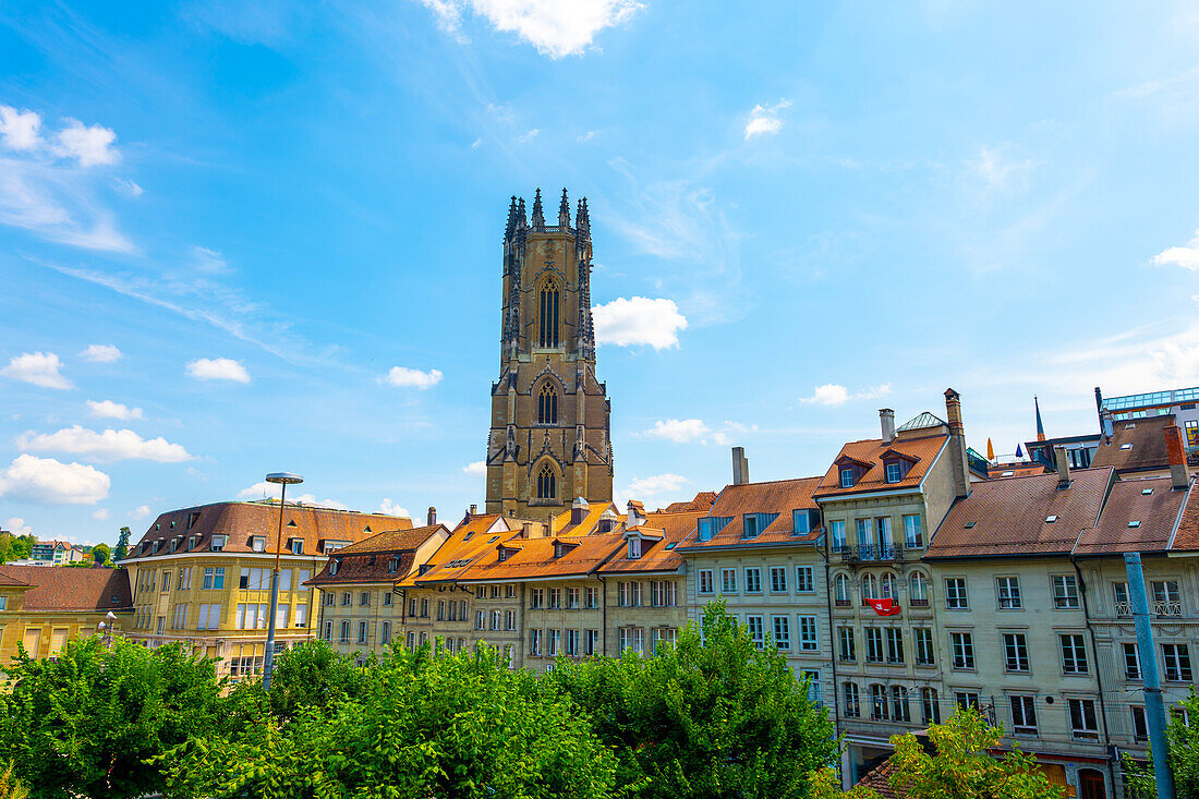 Stadtbild mit Kathedrale in der mittelalterlichen Altstadt an einem sonnigen Sommertag in der Stadt Freiburg, Kanton Freiburg, Schweiz.