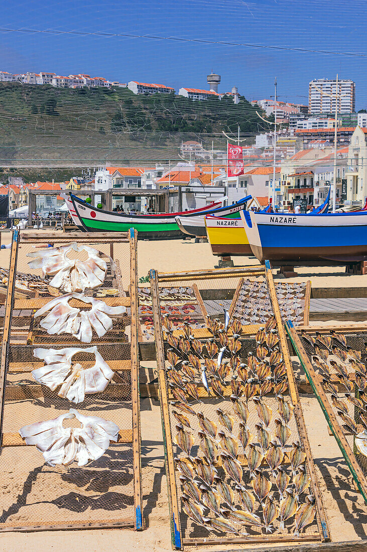  Nazaré is a Portuguese city on the Atlantic Ocean in the Oeste subregion of the Centro region and the historical province of Estremadura, about 100 km north of Lisbon, where fish and seafood are dried. 