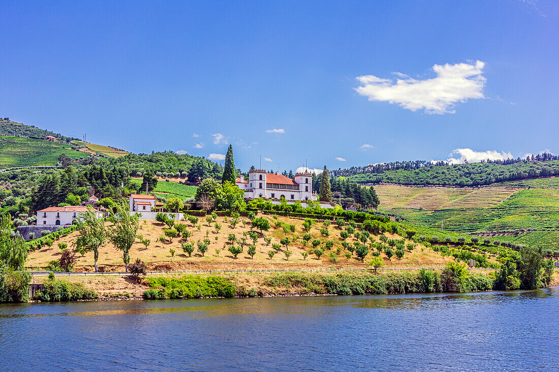 Blick vom Fluss Douro auf Gebäude in den Weinbergen,  Distrikt Viseu, Portugal