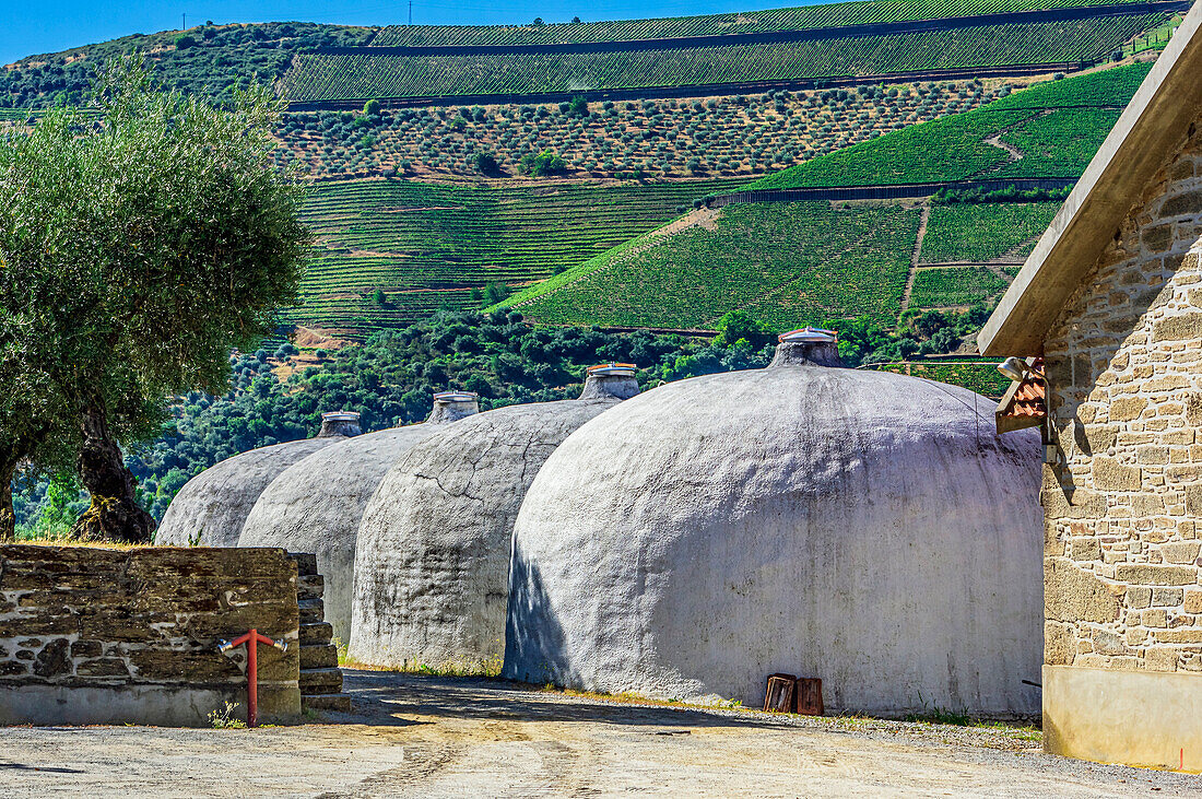 Impressionen eines Weingutes mit alten Weintanks, Quinta da Roeda, Umgebung von Pinhao, Douro-Tal, Distrikt Vila Real, Portugal