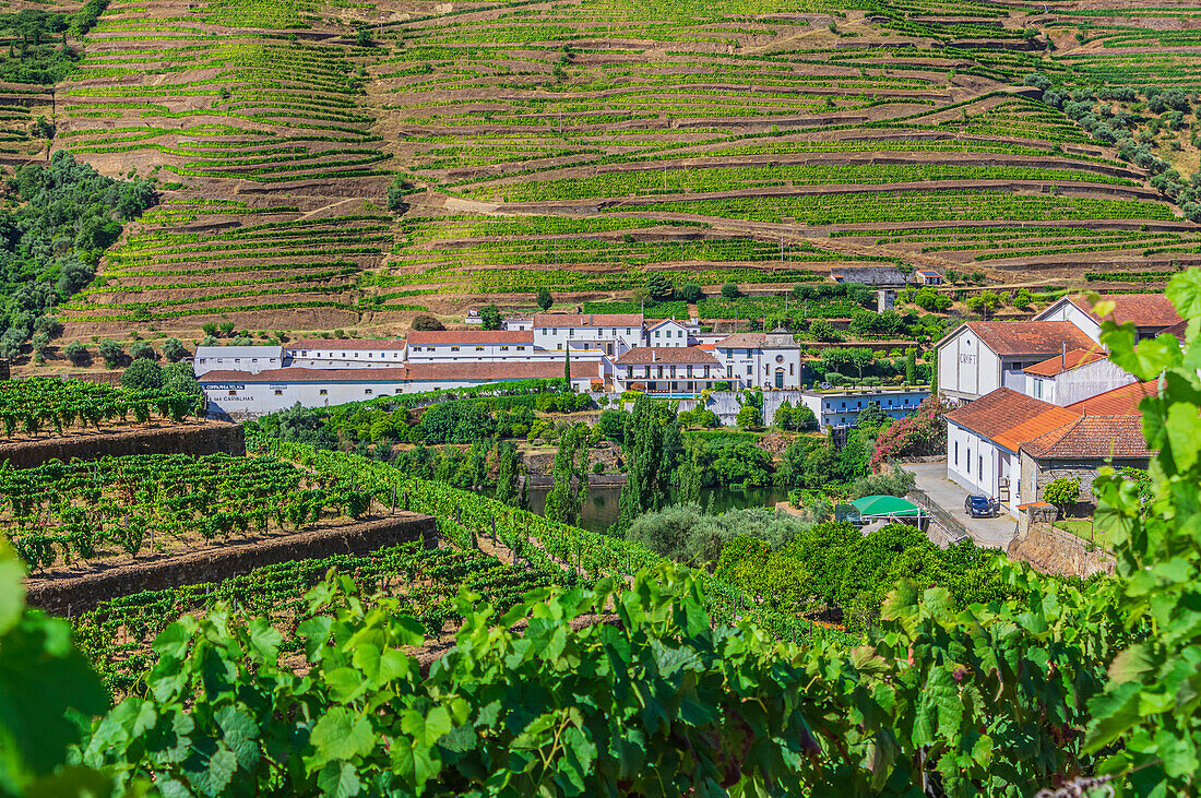  Impressions of a winery near Pinhao, Portugal 