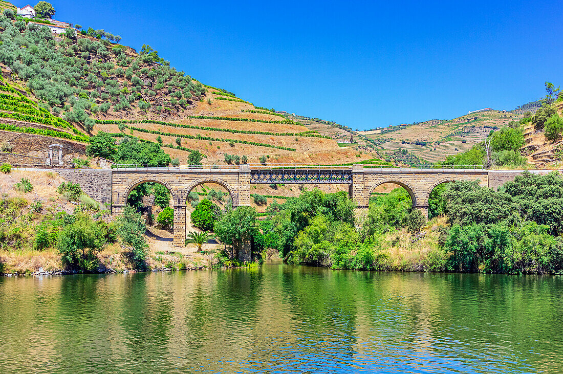 Hügel und Umgebung von Pinhao, Douro-Tal am Fluss Douro, Vila Real, Portugal