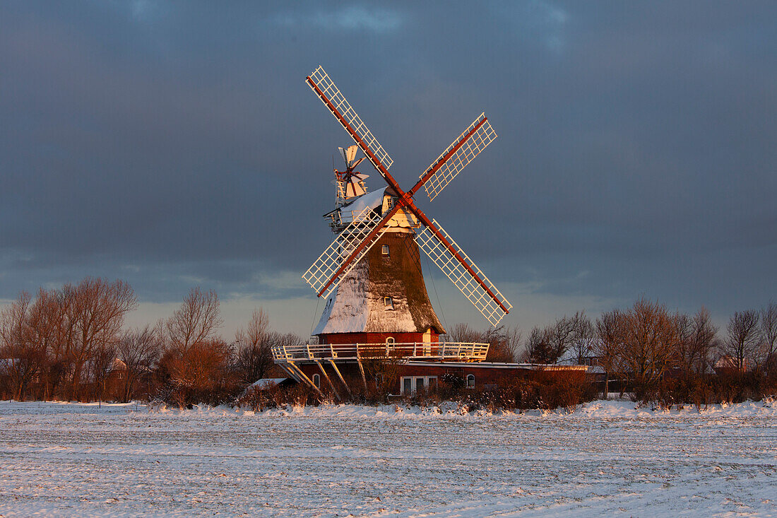 Windmühle Oldsum im Schnee, Insel Föhr, Nordfriesland, Schleswig-Holstein, Deutschland