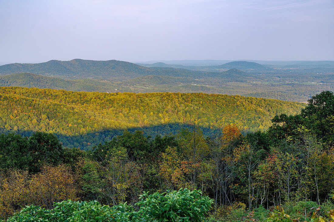  Panoramic view of the Virginia Blue Ridge Mountains from Skyline Drive in Shenandoah National Park, Virginia, USA 