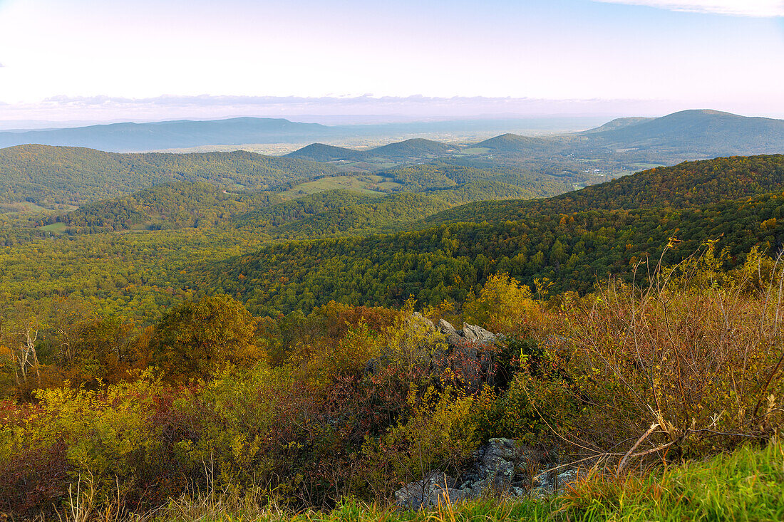 Panorama-Ausblick auf die Virginia Blue Ridge Mountains vom Skyline Drive im Shenandoah National Park, Virginia, USA