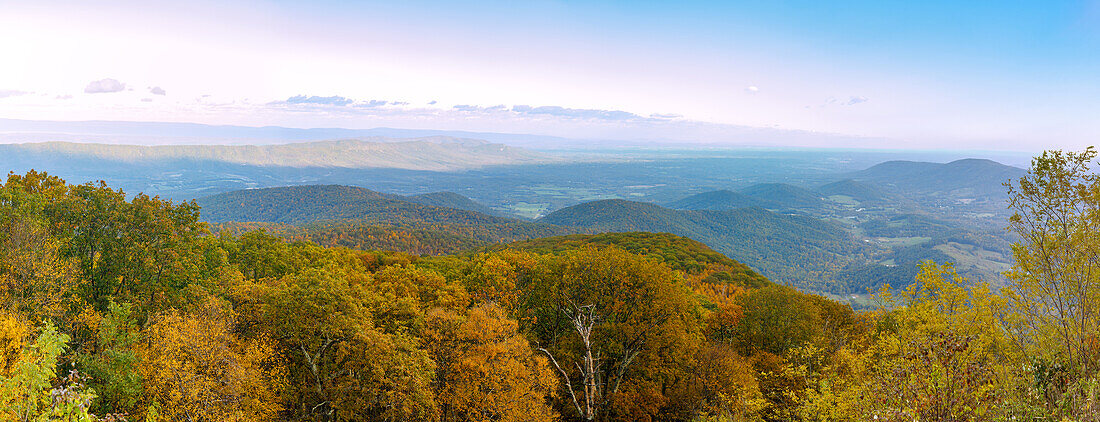  Panoramic view of the Virginia Blue Ridge Mountains from Skyline Drive in Shenandoah National Park, Virginia, USA 