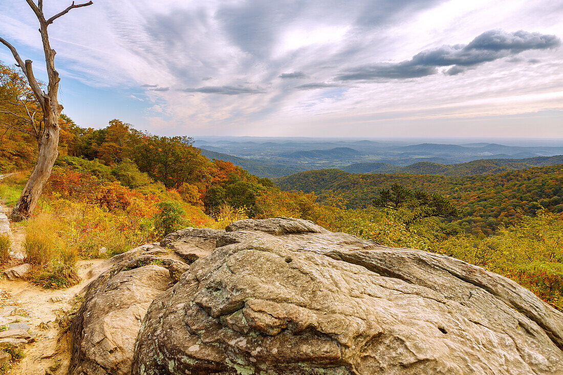  Panoramic view of the Virginia Blue Ridge Mountains from Skyline Drive in Shenandoah National Park, Virginia, USA 