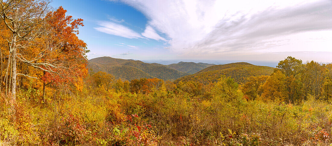  Panoramic view of the Virginia Blue Ridge Mountains from Skyline Drive in Shenandoah National Park, Virginia, USA 