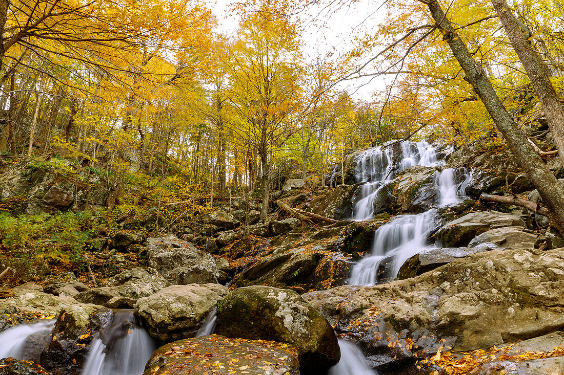  Dark Hollow Falls on Skyline Drive in Shenandoah National Park, Virginia, USA 