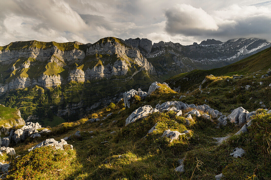 Blick vom Schäfler zum Widderalpstöck, Säntis, Alpstein, Appenzell, Schweiz