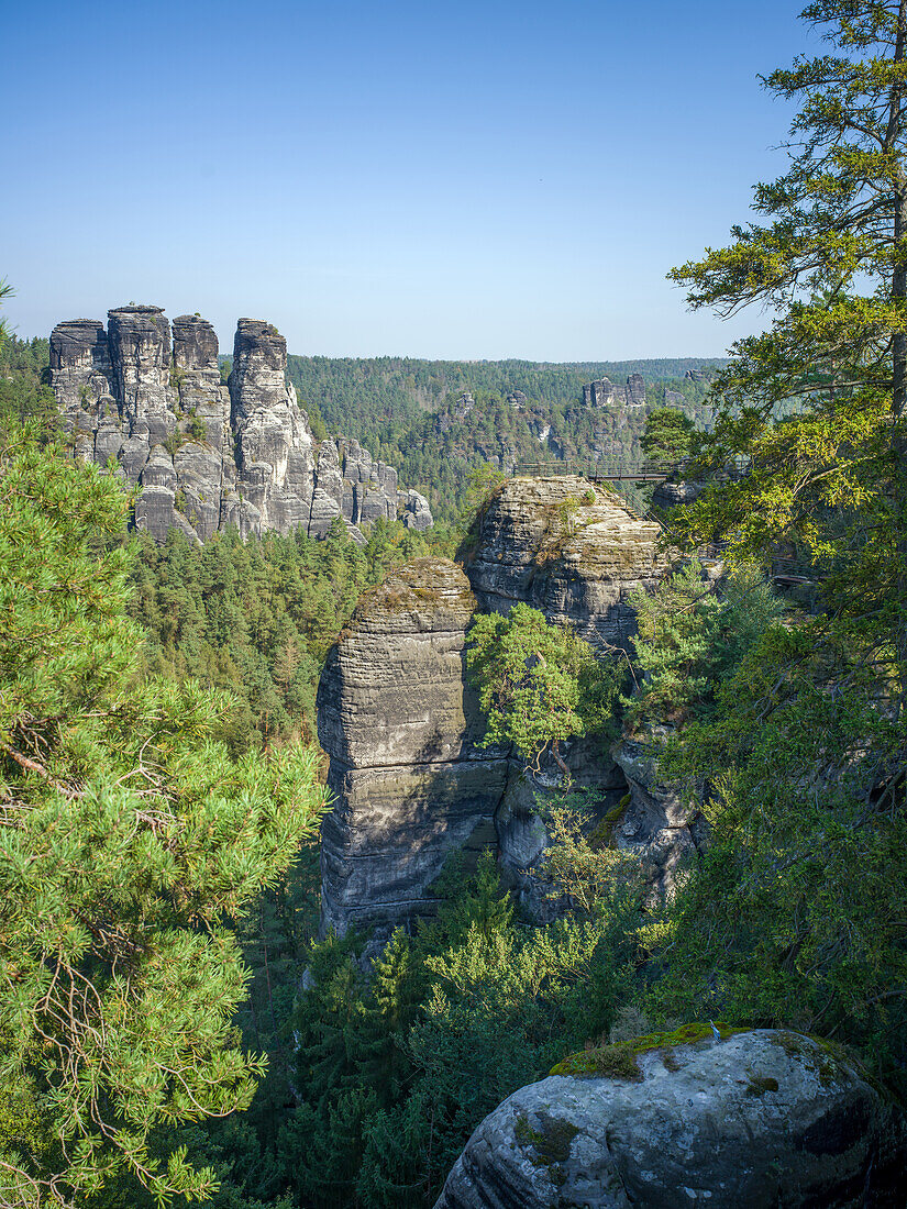  Gansfelsen and Felsenburg Neurathen, Bastei, Saxon Switzerland, Elbe Sandstone Mountains, Saxony, Germany, Europe 