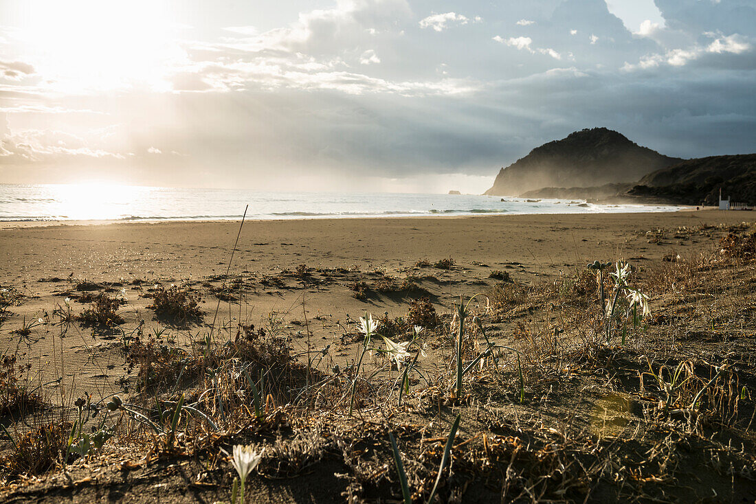 Einsamer Strand, Spiaggia Feraxi, Sonnenaufgang, Capo Ferrato, Muravera, Provinz Cagliari, Sardinien, Italien