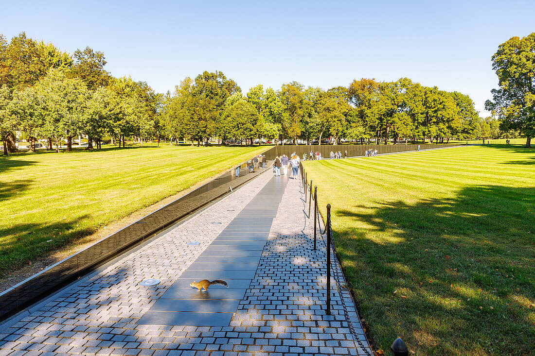  Vietnam Veterans Memorial at the National Mall and Memorial Parks in Washington DC, District of Columbia, USA 