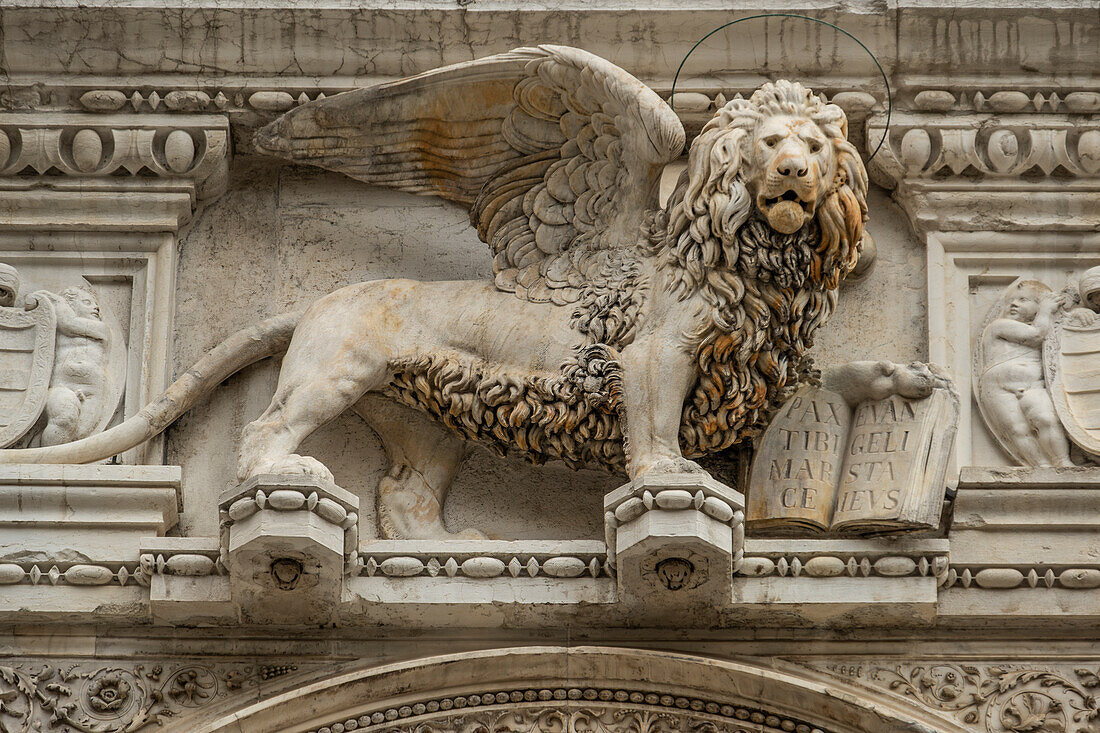 Venezianischer Löwe über dem Eingang des Palazzo Ducale,  Dogenpalast, Venedig, Venetien, Italien