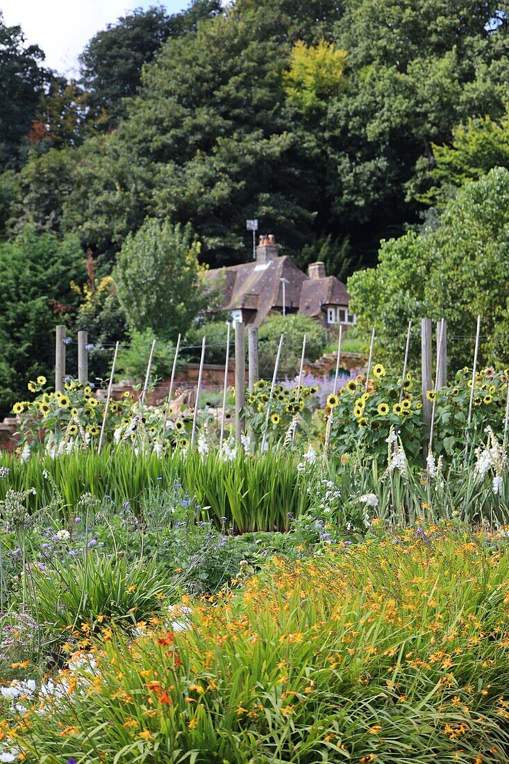  Cottage garden in Chartwell, Kent, England, UK 