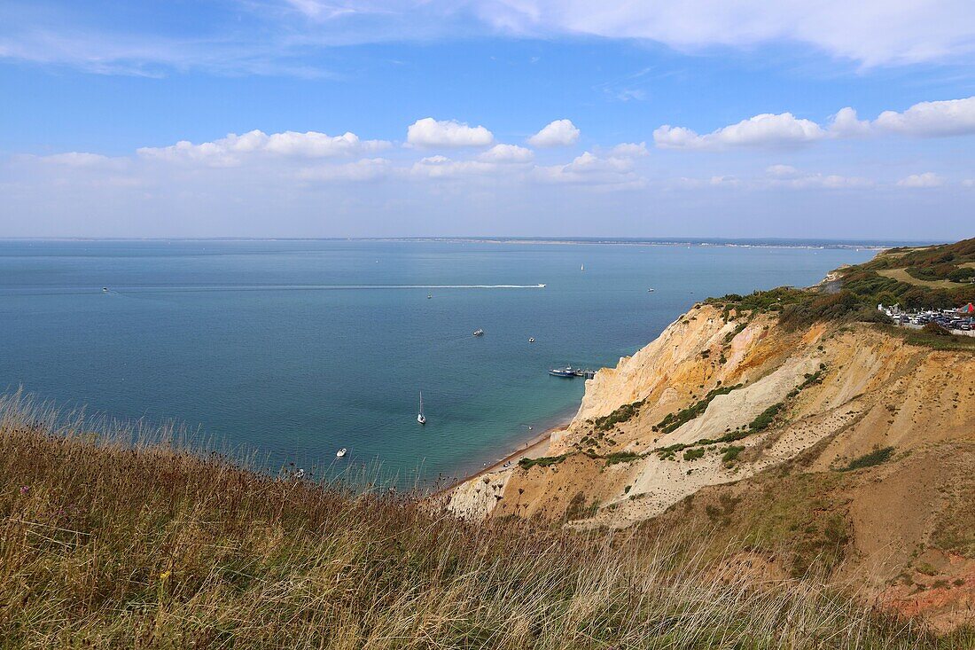 Klippen an der Küste der Insel Isle of White, England, Großbritannien