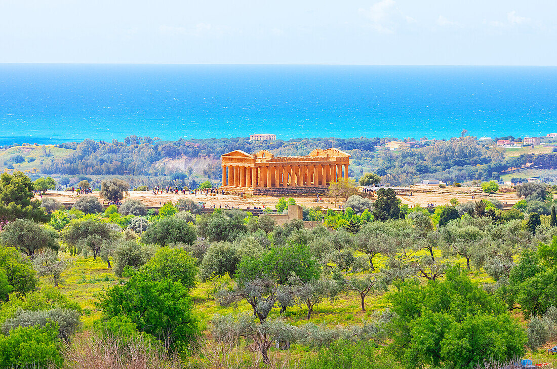  Tempel der Concordia, Tal der Tempel, Agrigent, Sizilien, Italien 