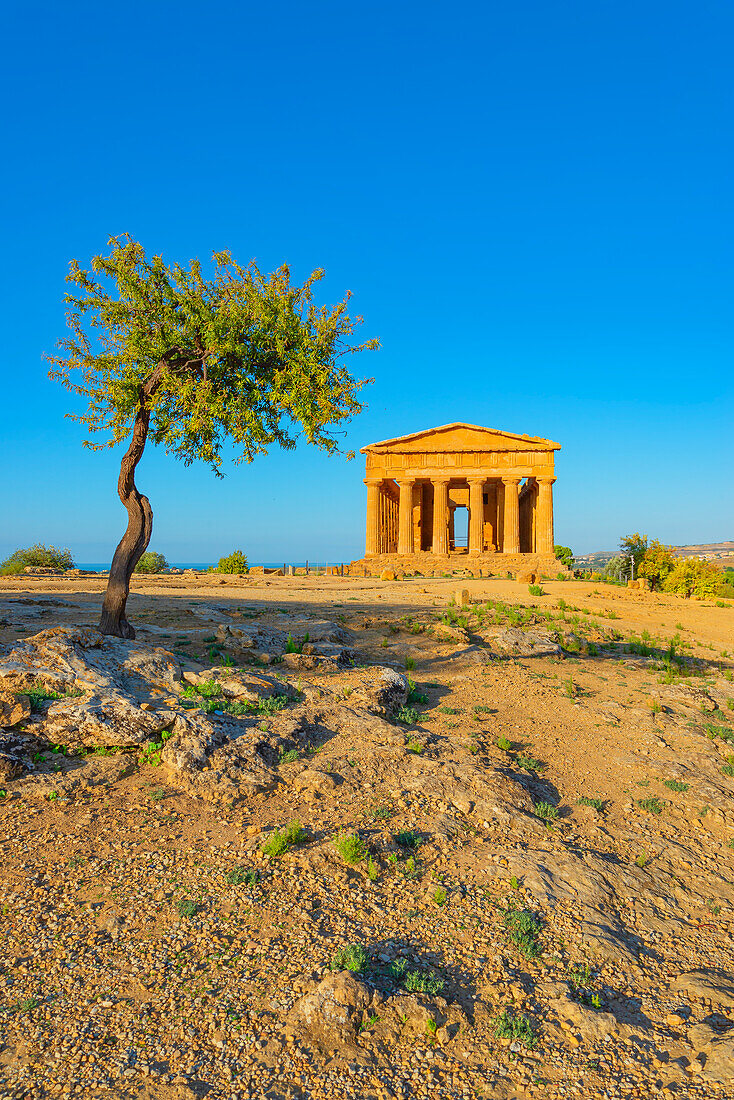 Concordia temple, Valley of Temples, Agrigento, Sicily, Italy