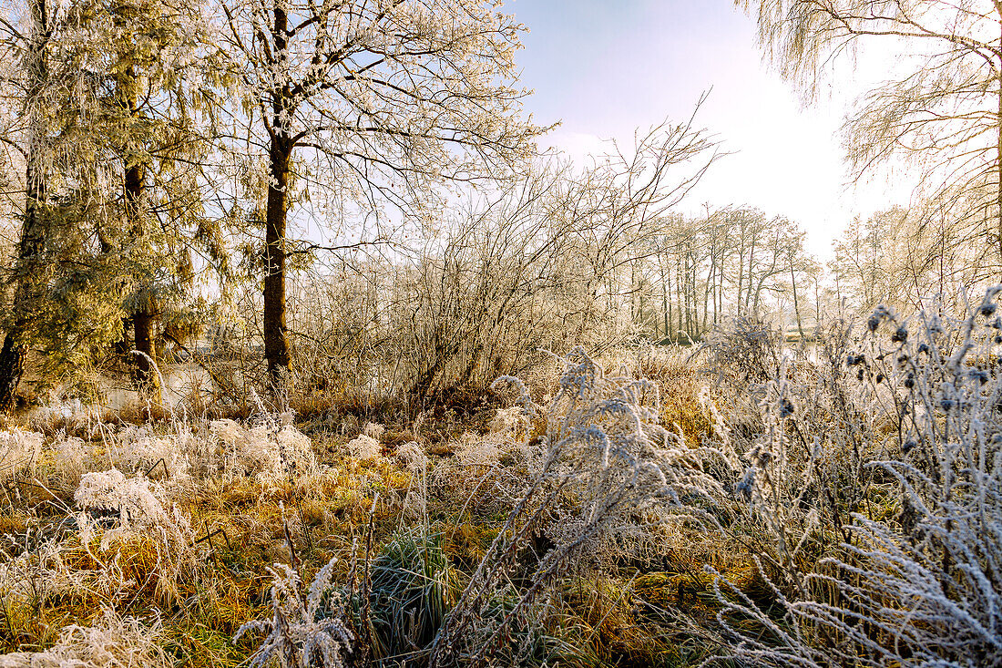 Winterlandschaft mit Raureif im Sempttal bei Erding in Oberbayern