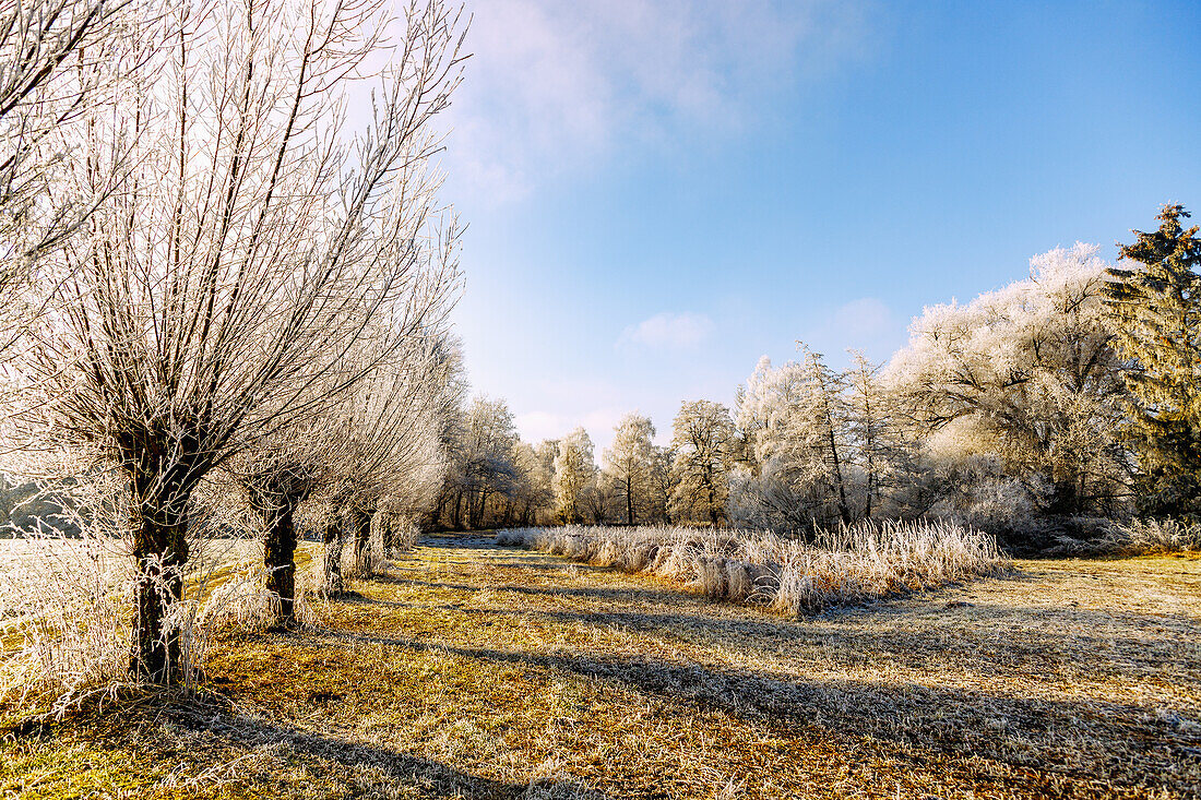 Winterlandschaft mit Raureif im Sempttal bei Erding in Oberbayern