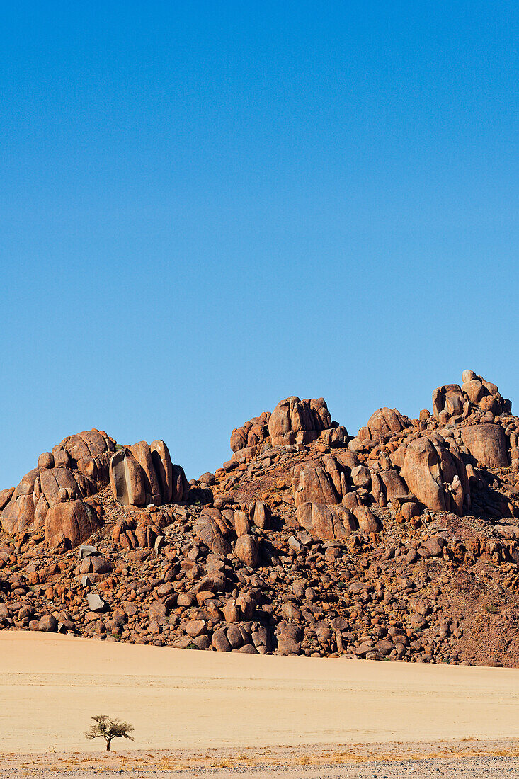 Ein einsamer Baum vor einer Felsenlandschaft, Hammerstein, Namib-Naukluft-Nationalpark, Namibia, Afrika