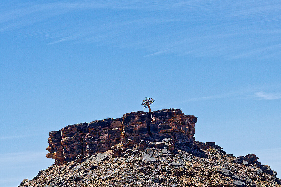 Ein einzelner Köcherbaum auf einem Felsen, Fish River Canyon Region, Seeheim, Kharas, Namibia, Afrika