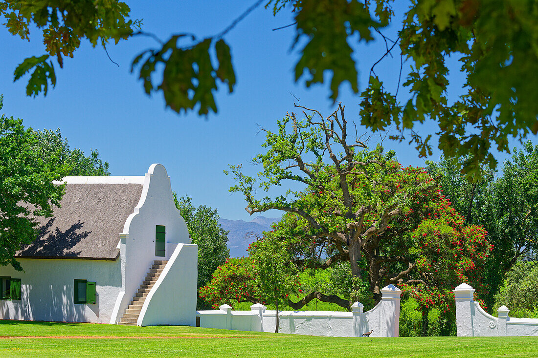 Weingut, Kapholländische Architektur, Stellenbosch, Südafrika, Afrika