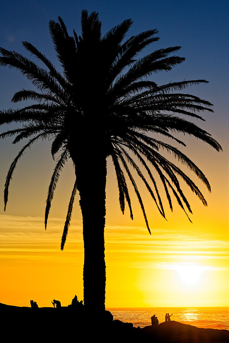 Sonnenuntergang am Strand vom Touristen-Hotspot, Camps Bay, Kapstadt, Südafrika, Afrika