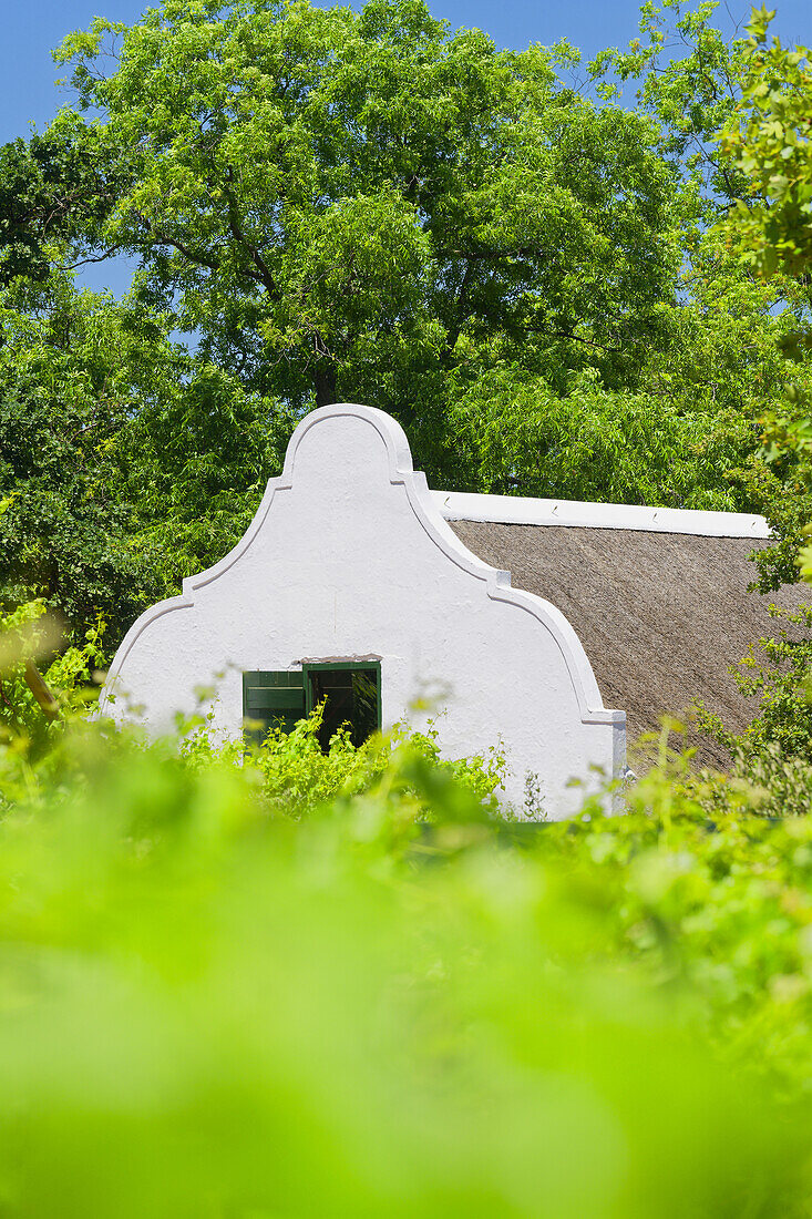 Weingut, Kapholländische Architektur, Stellenbosch, Südafrika, Afrika