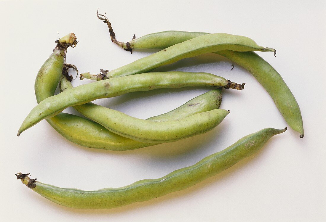 Thick Bean Pods