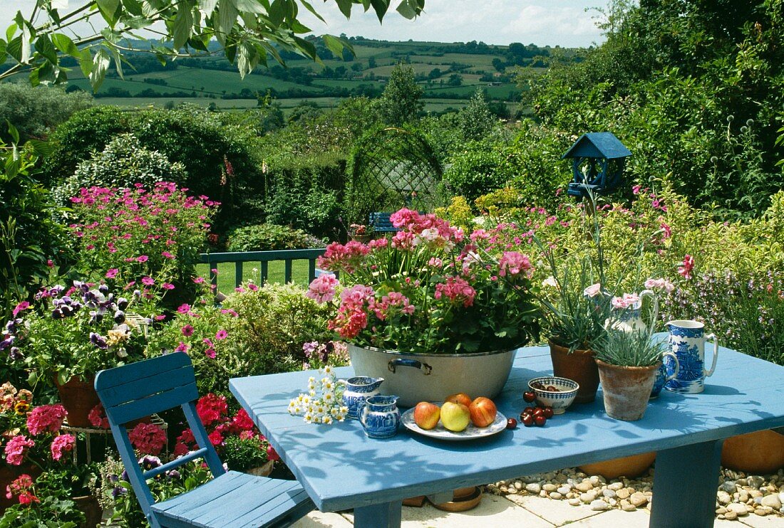 Blühende Pflanzen in Töpfen auf blauem Tisch im ländlichen Garten