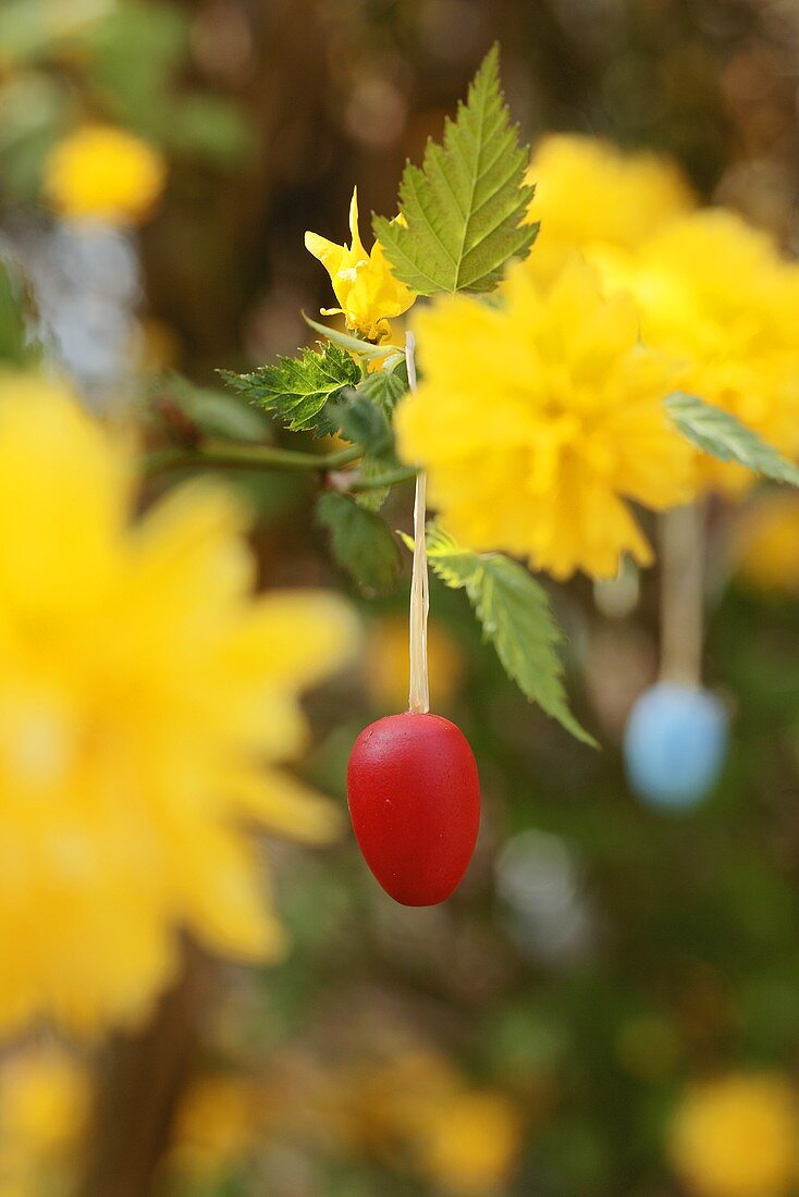 Hanging Easter eggs