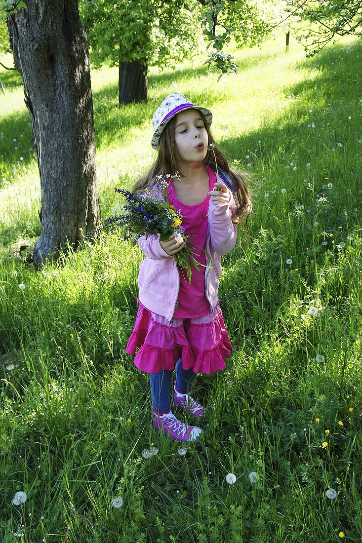 A girl with a dandelion clock in a field