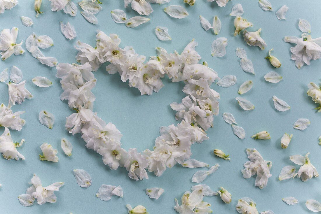 A heart made of white delphiniums