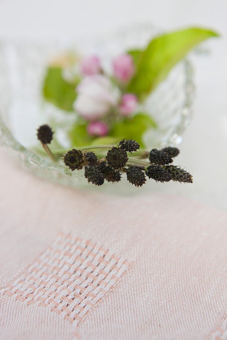 English plantain flowers and apple blossoms in a glass bowl