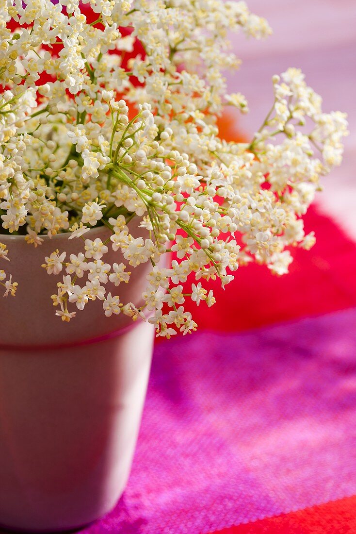 A bunch of elderflowers in a cup