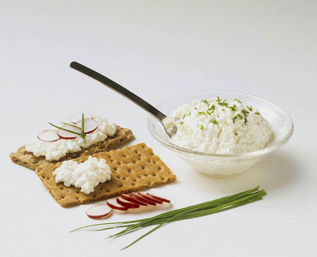 Cottage Cheese in White Bowl
