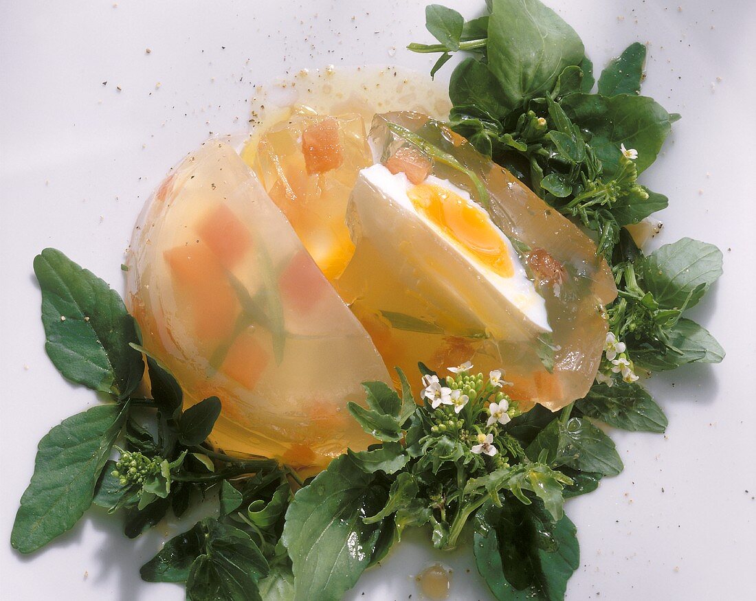 Poached Egg in Jelly on Watercress