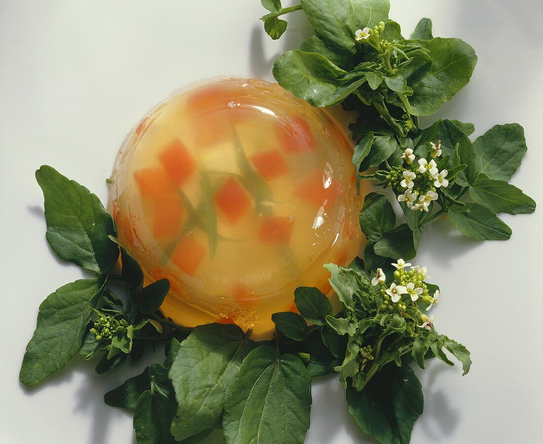 Jelly with Poached Egg on Watercress