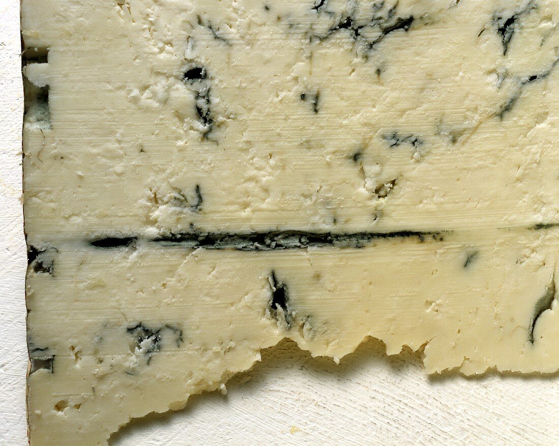 Gorgonzolascheibe