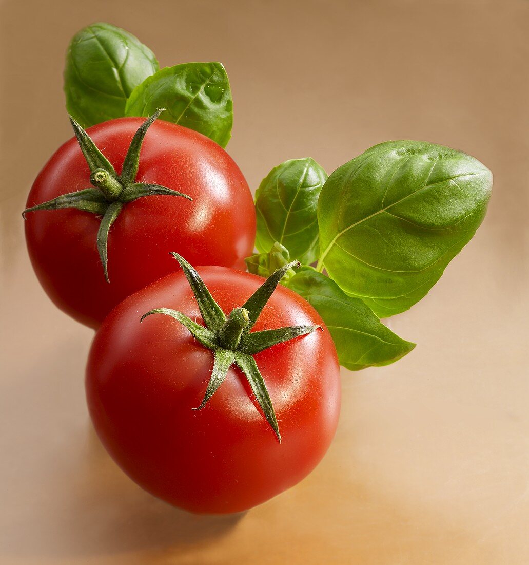 Two tomatoes with basil leaves