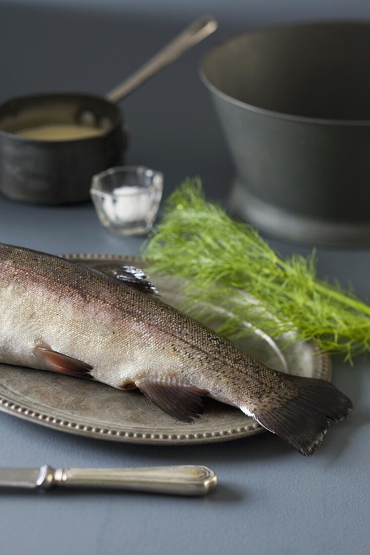 Rainbow trout on a silver platter with dill