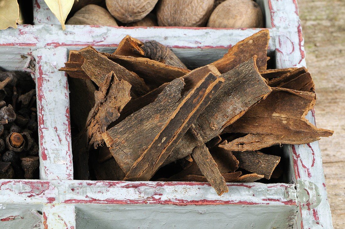 Cinnamon bark in old type case